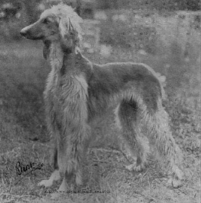 What, Oh, What, Will It Take to Educate?